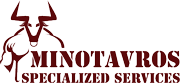 Minotavros Specialized Services – Security & Crowd Managemen